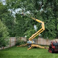 Best Tree Trimming and Pruning  in Bartlett, TX